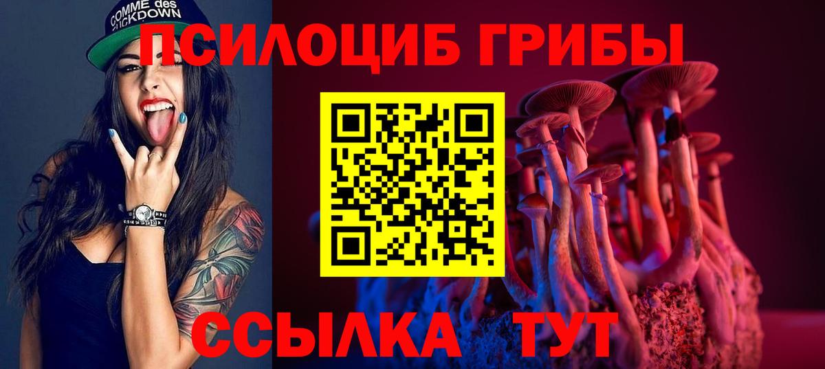 закладка  Галлюциногенные грибы мухоморы  Вход с VPN  Сызрань  Галлюциногенные грибы Magic Shrooms 