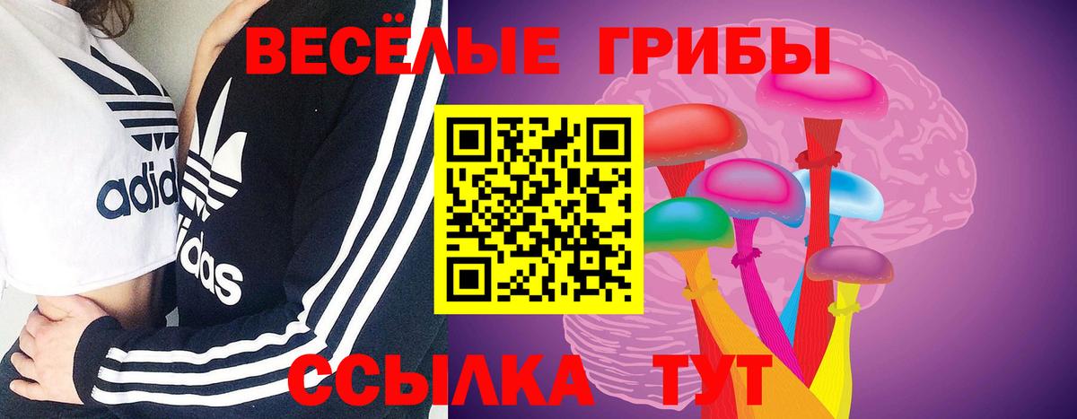 Галлюциногенные грибы MAGIC MUSHROOMS Сызрань